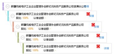 新疆機械電子工業企業管理協會新紀元科技產品服務公司裝潢分公司技術開發路徑探析