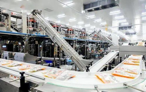 嚴(yán)防嚴(yán)控安全風(fēng)險(xiǎn) 河北部署開(kāi)展冷凍飲品 速凍食品生產(chǎn)企業(yè)專項(xiàng)整治行動(dòng)