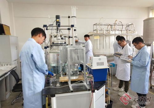 追夢綠水青山 看昆明理工大學科研團隊如何低碳減排創發展